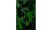 Camo green